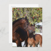 Bob Langrish | Arab Mare and Foal Stehend Postkarte (Vorne/Hinten)