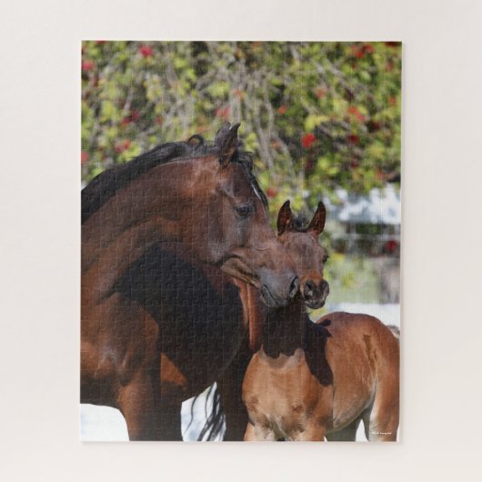 Bob Langrish | Arab Mare and Foal Stehend Puzzle (Vertikal)
