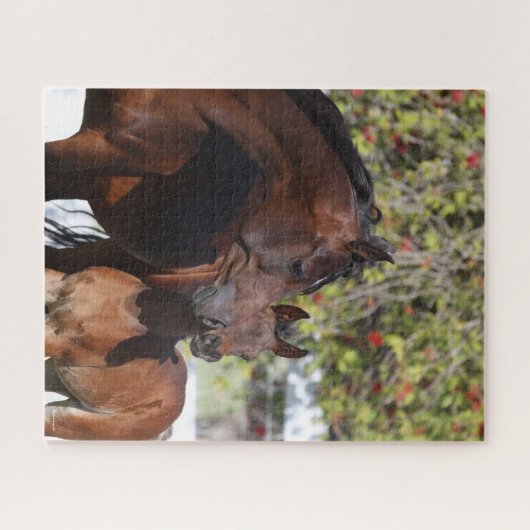 Bob Langrish | Arab Mare and Foal Stehend Puzzle (Horizontal)