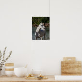 Bob Langrish Arab Mare Stehend in Water Headshot Poster (Küche)