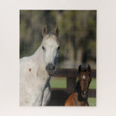 Bob Langrish Arab Mare und Foal Stehend Headshot Puzzle (Vertikal)