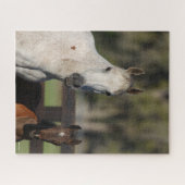 Bob Langrish Arab Mare und Foal Stehend Headshot Puzzle (Horizontal)