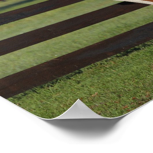 Bob Langrish Arab Mare und Foal Stehend Poster (Ecke)