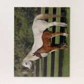 Bob Langrish Arab Mare und Foal Stehend Puzzle (Vertikal)