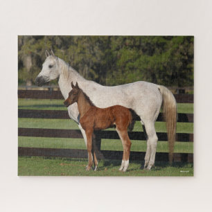 Bob Langrish Arab Mare und Foal Stehend Puzzle