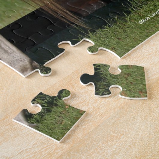 Bob Langrish Arab Mare und Foal Stehend Puzzle (Seite)