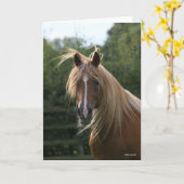 Bob Langrish | Arab Stallion Headshot Karte (Gelbe Blume)