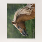 Bob Langrish | Arab Stallion Headshot Manflows Puzzle (Vertikal)