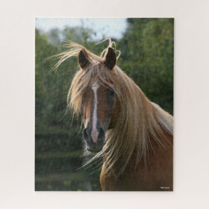 Bob Langrish Arab Stallion Headshot Puzzle