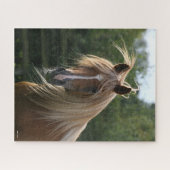 Bob Langrish | Arab Stallion Headshot Puzzle (Horizontal)