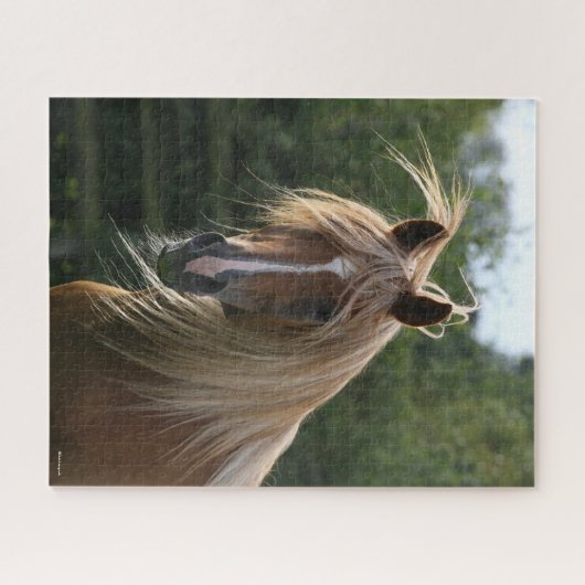Bob Langrish | Arab Stallion Headshot Puzzle (Horizontal)