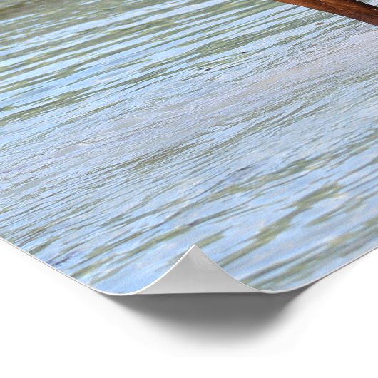 Bob Langrish | Arab Stallion Standing In Water Poster (Ecke)