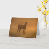 Bob Langrish | Arabisch Stehend in Nebel Karte (Gelbe Blume)