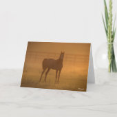 Bob Langrish | Arabisch Stehend in Nebel Karte (Vorderseite)