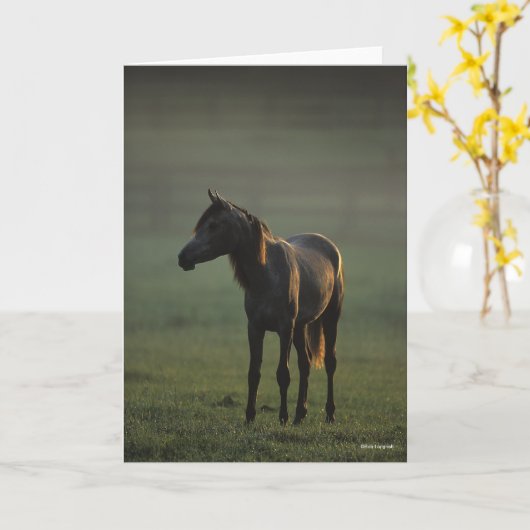 Bob Langrish | Arabisch Stehend in nebelfarbenem B Karte (Gelbe Blume)