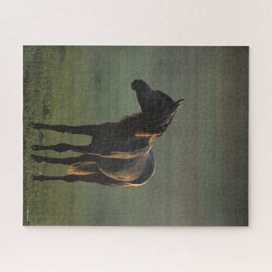 Bob Langrish | Arabisch Stehend in nebelfarbenem B Puzzle (Horizontal)