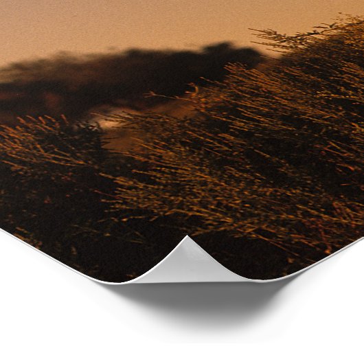 Bob Langrish | Arabisch Stehend in Sunset Poster (Ecke)