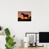 Bob Langrish | Arabisch Stehend in Sunset Poster (Heimbüro)