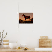 Bob Langrish | Arabisch Stehend in Sunset Poster (Küche)