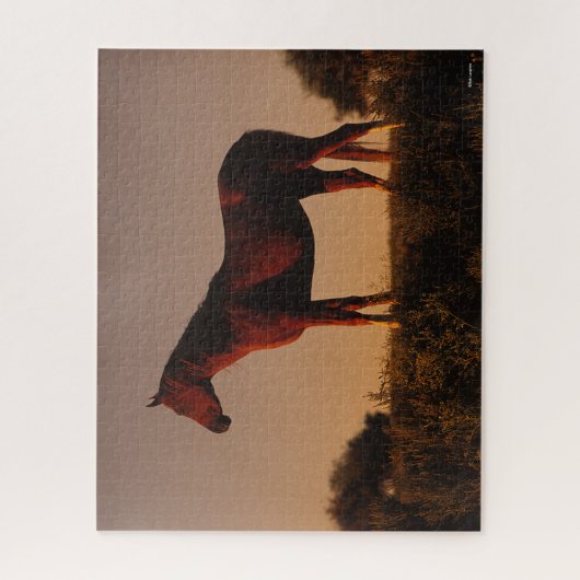 Bob Langrish | Arabisch Stehend in Sunset Puzzle (Vertikal)