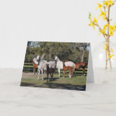 Bob Langrish | Arabische Mares und Fohlen Stehend Karte (Gelbe Blume)