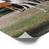 Bob Langrish | Arabische Mares und Fohlen Stehend Poster (Ecke)