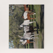 Bob Langrish | Arabische Mares und Fohlen Stehend Puzzle (Vertikal)