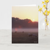 Bob Langrish | Arabische Pferde beim Sonnenaufgang Karte (Gelbe Blume)
