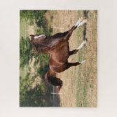 Bob Langrish | Arabischer Kastanienhengst mit Runn Puzzle (Vertikal)