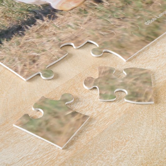 Bob Langrish | Arabischer Kastanienhengst mit Runn Puzzle (Seite)