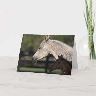 Bob Langrish   Arabischer Mare- und Fotopapier Karte