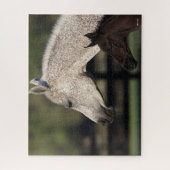 Bob Langrish | Arabischer Mare- und Fotopapier Puzzle (Vertikal)