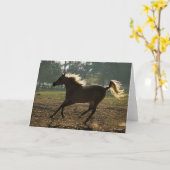 Bob Langrish | Arabischer Running Backlit Karte (Gelbe Blume)