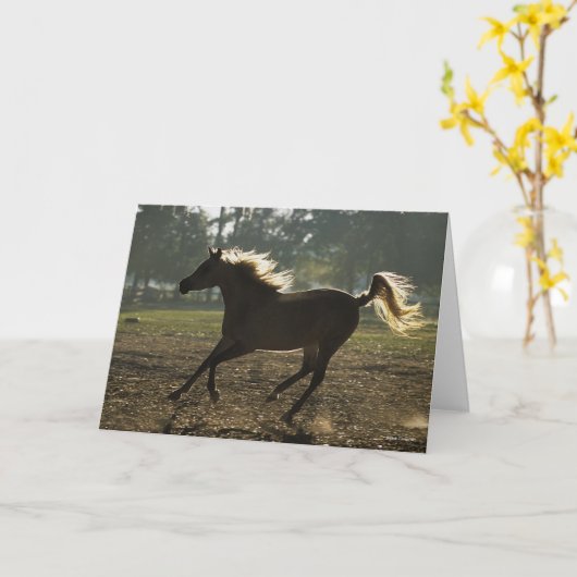 Bob Langrish | Arabischer Running Backlit Karte (Gelbe Blume)