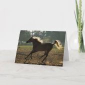 Bob Langrish | Arabischer Running Backlit Karte (Vorderseite)