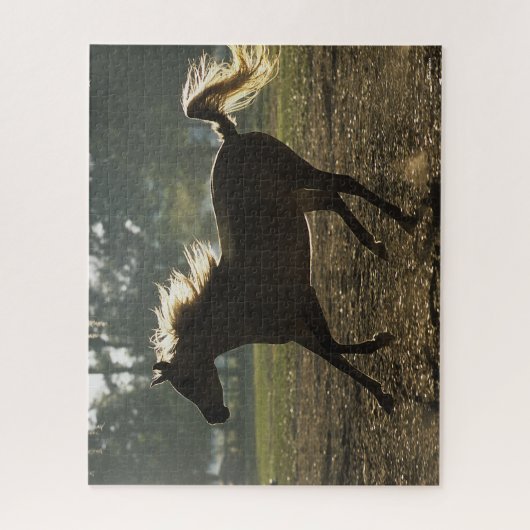 Bob Langrish | Arabischer Running Backlit Puzzle (Vertikal)
