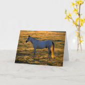 Bob Langrish | Arabischer Stehender Backlit Karte (Gelbe Blume)