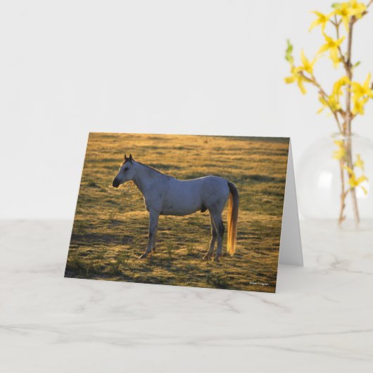 Bob Langrish | Arabischer Stehender Backlit Karte (Gelbe Blume)