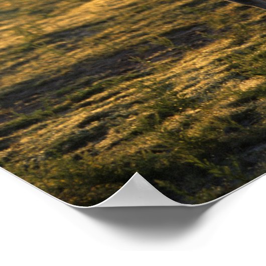 Bob Langrish | Arabischer Stehender Backlit Poster (Ecke)