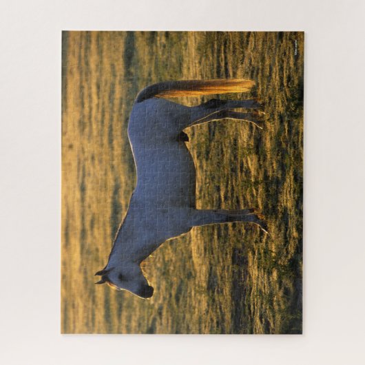 Bob Langrish | Arabischer Stehender Backlit Puzzle (Vertikal)