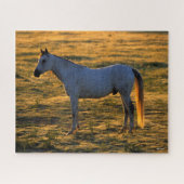 Bob Langrish | Arabischer Stehender Backlit Puzzle (Horizontal)