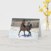 Bob Langrish | Arabisches Pferd in der Bucht im Sc Karte (Gelbe Blume)