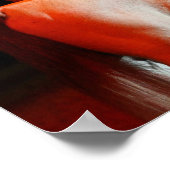 Bob Langrish | Arabisches Pferd Stehend mit Hunden Poster (Ecke)