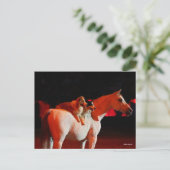 Bob Langrish | Arabisches Pferd Stehend mit Hunden Postkarte (Stehend Vorderseite)