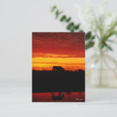 Bob Langrish | Arabisches Pferdeweiden bei Sonnenu Postkarte (Stehend Vorderseite)