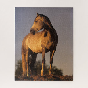 Bob Langrish   Arabisches Stehend auf dem Hügel b Puzzle