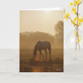 Bob Langrish | Arabisches Weiden bei Sonnenunterga Karte (Gelbe Blume)