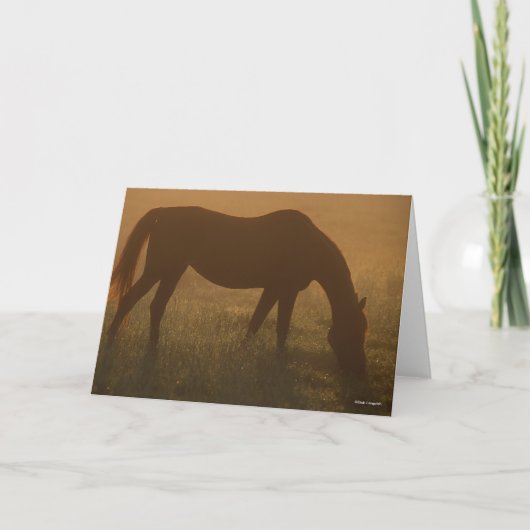 Bob Langrish | Arabisches Weiden im Nebel Karte (Vorderseite)