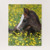Bob Langrish | Ausruhen von Pony Foal in Blume Puzzle (Vertikal)