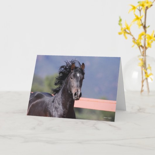 Bob Langrish | Back Andalucian Headshot Karte (Gelbe Blume)